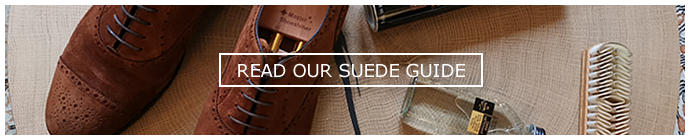 Suede gidsen